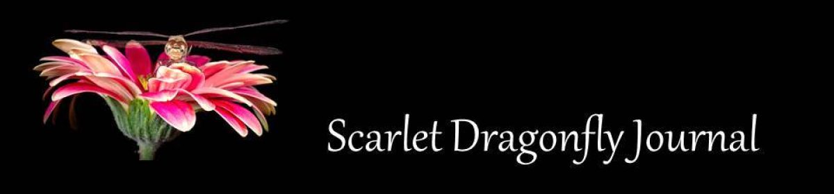 Scarlet Dragonfly Journal